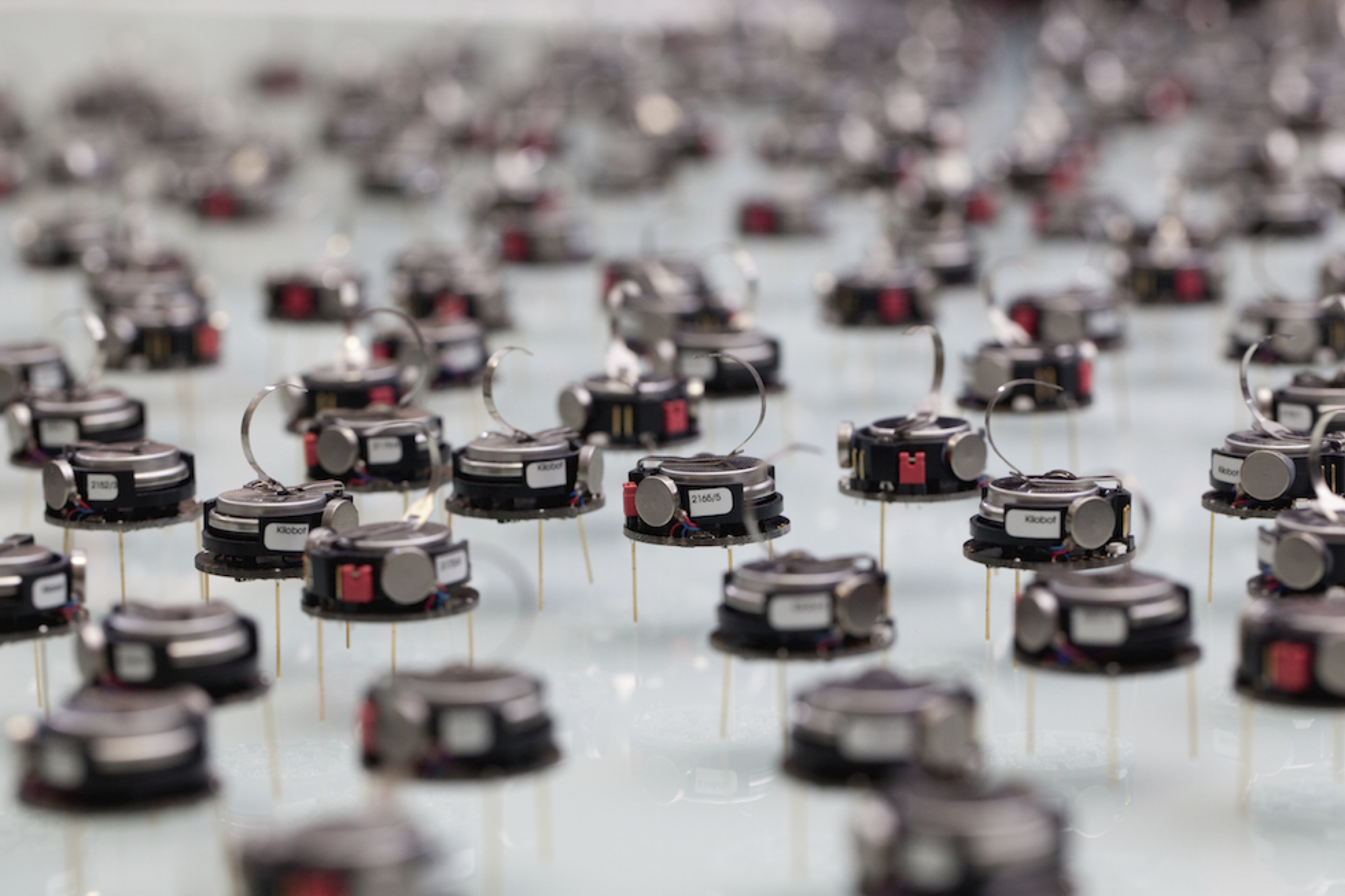 Heterogeneous multi-agent systems